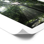 Sun Rays, Misty Morning Poster (Hoek)