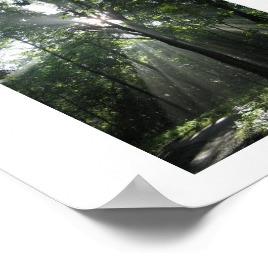 Sun Rays, Misty Morning Poster (Hoek)