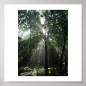 Sun Rays, Misty Morning Poster (Voorkant)