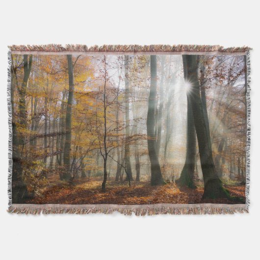 Sun Rays Mystic Misty Forest Blanket Deken (Voorkant)