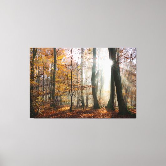 Sun Rays Mystic Misty Forest Canvas Afdruk (Voorkant)