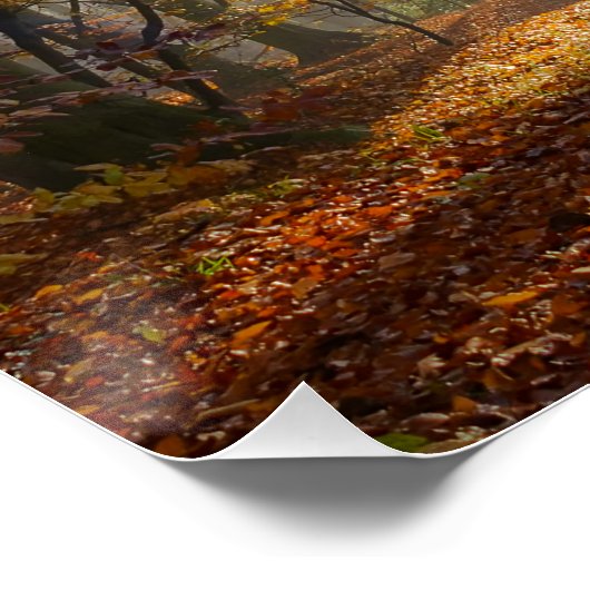 Sun Rays Mystic Misty Forest, foto Poster (Hoek)