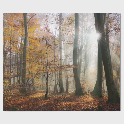 Sun Rays Mystic Misty Forest, Gift Cadeaupapier (Vlak)