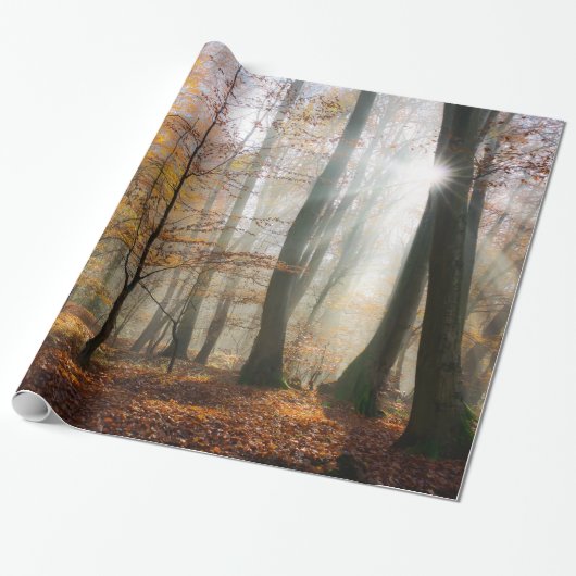 Sun Rays Mystic Misty Forest, Gift Cadeaupapier (Uitgerold)