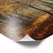 Sun Rays Mystic Misty Schilderachtig Forest - Pape Foto Afdruk (Hoek)