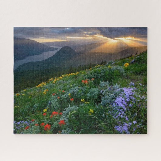 Sun Rays Shine op Wildbloemen op Dog Mountain Legpuzzel (Horizontaal)