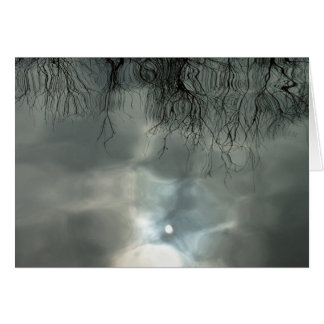 Sun reflecteert water