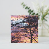 Sun Rise (Staand voorkant)