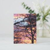 Sun Rise Briefkaart (Staand voorkant)