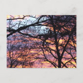 Sun Rise Briefkaart (Achterkant)