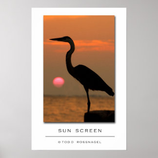 Sun Screen Poster