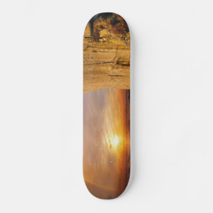 Sun Set Zee Cliff Persoonlijk Skateboard