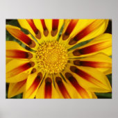 Sun Shine Poster (Voorkant)