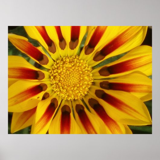 Sun Shine Poster (Voorkant)