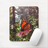 Sun Streaming Down op Monarch op Bloem Muismat (Met muis)