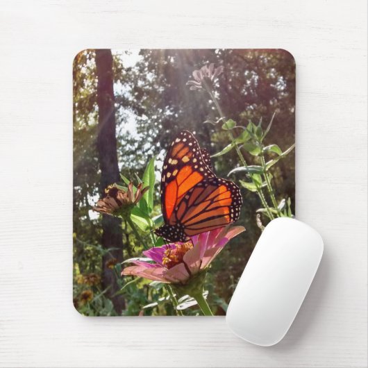 Sun Streaming Down op Monarch op Bloem Muismat (Met muis)