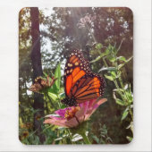 Sun Streaming Down op Monarch op Bloem Muismat (Voorkant)