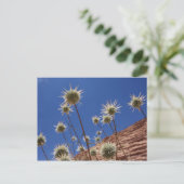 Sun Thistle Briefkaart (Staand voorkant)