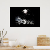 Sun thru Trees B&W Poster (Keuken)