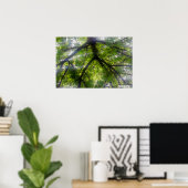 Sun Trees (Ohio) - Poster (Thuiskantoor)