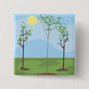 Sun & Trees - Vierkante Button 5,1 Cm