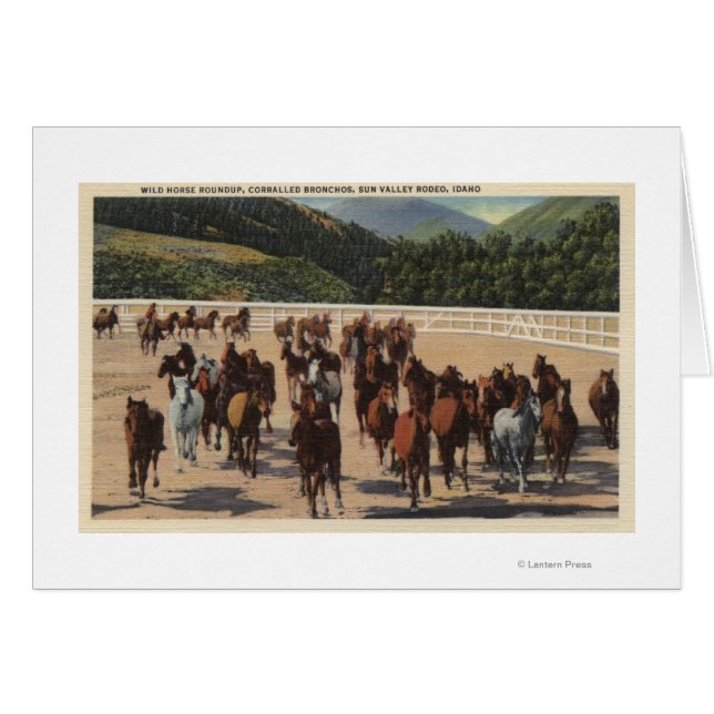 Sun Valley, ID - Wild Horse Roundup (Voorkant Horizontaal)
