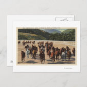 Sun Valley, ID - Wild Horse Roundup Briefkaart (Voorkant / Achterkant)