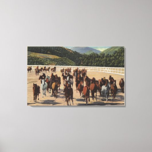 Sun Valley, ID - Wild Horse Roundup Canvas Afdruk (Voorkant)