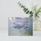 Sun Valley, Idaho, Verenigde Staten. Briefkaart (Staand voorkant)