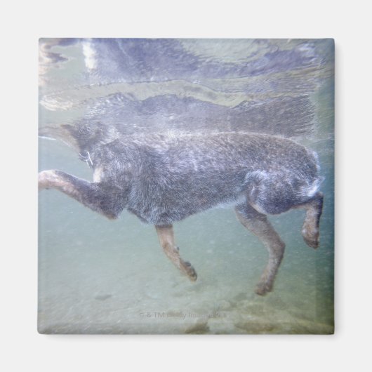 Sun Valley, Idaho, Verenigde Staten. Magneet (Voorkant)