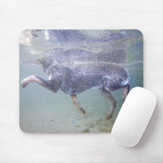 Sun Valley, Idaho, Verenigde Staten. Muismat (Met muis)