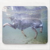 Sun Valley, Idaho, Verenigde Staten. Muismat (Voorkant)