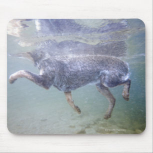 Sun Valley, Idaho, Verenigde Staten. Muismat