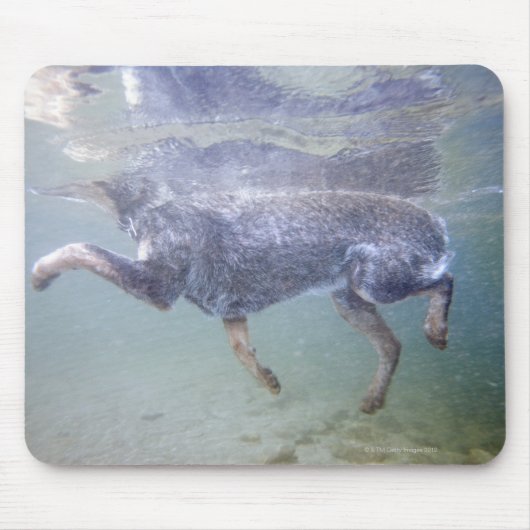 Sun Valley, Idaho, Verenigde Staten. Muismat (Voorkant)