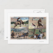 Sun Valley, IDRodeo Bull Dogging Scenes Briefkaart (Voorkant / Achterkant)