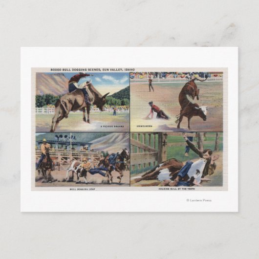 Sun Valley, IDRodeo Bull Dogging Scenes Briefkaart (Voorkant)