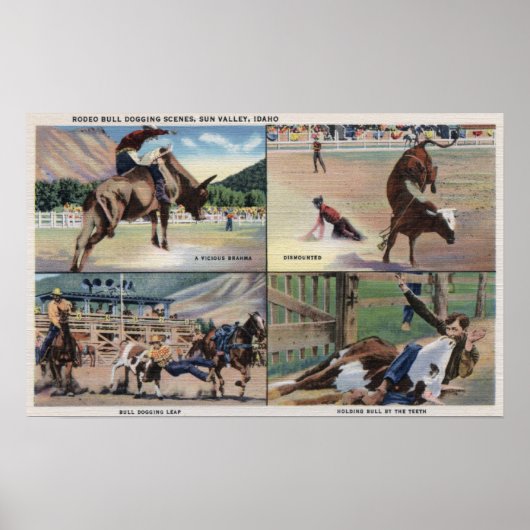 Sun Valley, IDRodeo Bull Dogging Scenes Poster (Voorkant)