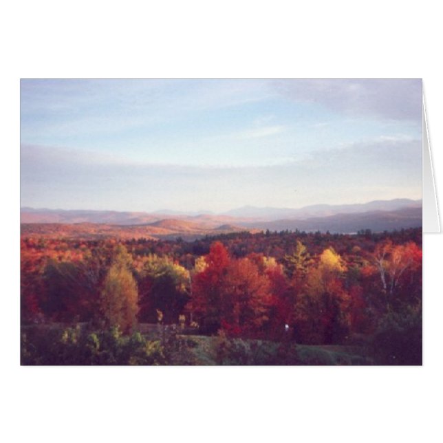 "Sun vangt de treetops" (Voorkant Horizontaal)