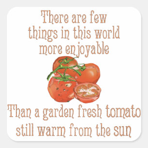 Sun Warmed Tomaten Vierkante Sticker