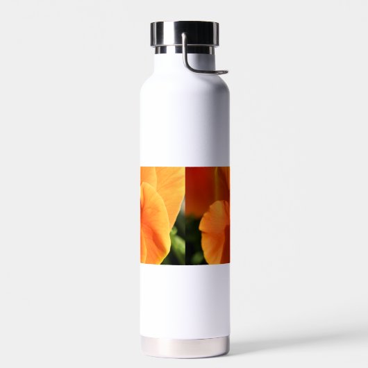 Sun Waterfles (Links)