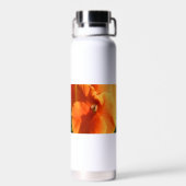 Sun Waterfles (Achterkant)