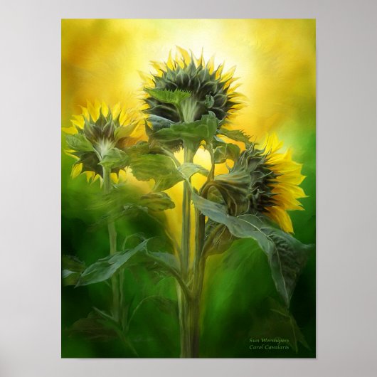 Sun Worshipers Art Poster/Print Poster (Voorkant)