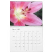 Sun Worshipers Kalender (Mar 2026)