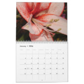 Sun Worshipers Kalender (Jan 2026)