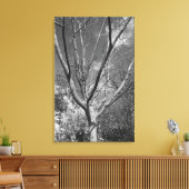 Sun Worshipping Tree Canvas Afdruk (Insitu (Woonkamer))