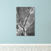Sun Worshipping Tree Canvas Afdruk (Insitu (Houten vloer))