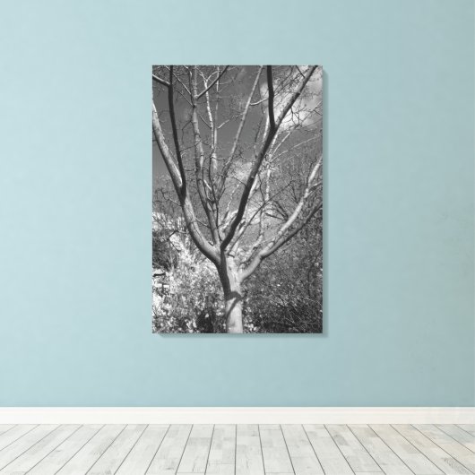 Sun Worshipping Tree Canvas Afdruk (Insitu (Houten vloer))