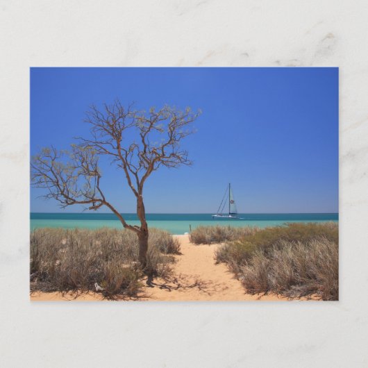 Sun, Zee, Sand - Monkey Mia Western Australië Briefkaart (Voorkant)