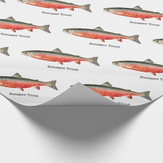 Sunapee Trout Fishing Pattern Cadeaupapier (Hoek)