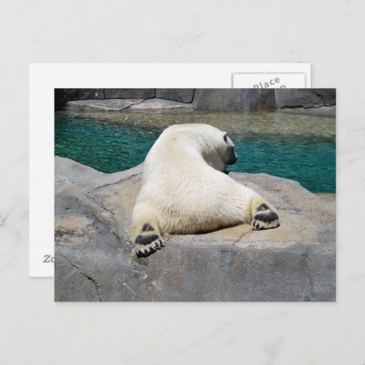 Sunbather Briefkaart (Voorkant / Achterkant)